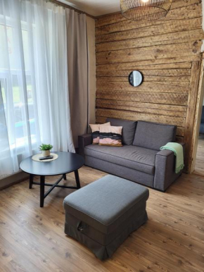Old Town Apartment nr 2